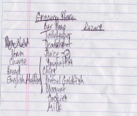 Grocery Shopping List