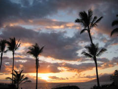 Timeshare Resales & Timeshare Sales