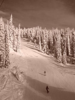 ski vacation rentals