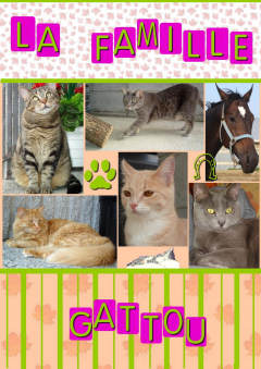 Scrapbooks - Free Printable Scrapbooking Papers