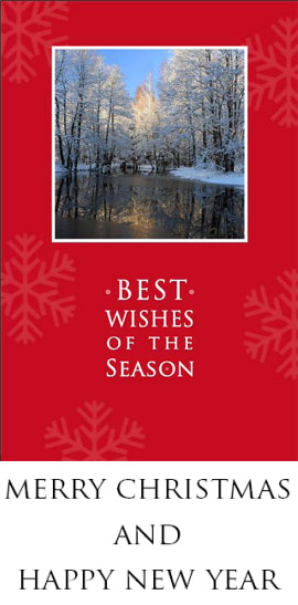 Click for free Christmas cards