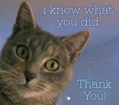 thank you cards