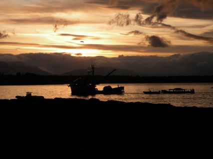 Fishing for Herring