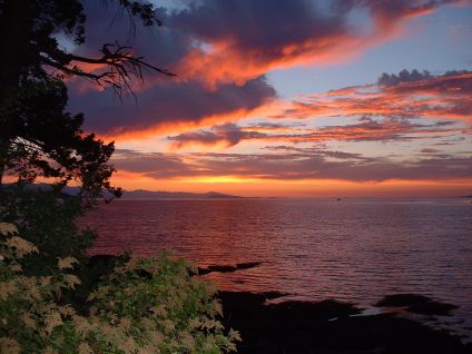 Amazing Seascapes