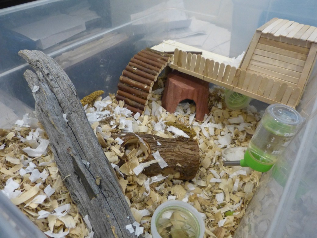 themed hamster cage