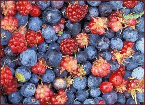 July Berries