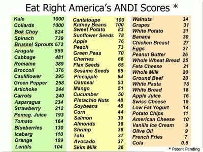 Nutrient Rich Plant Food