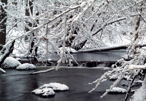 Winter Scene