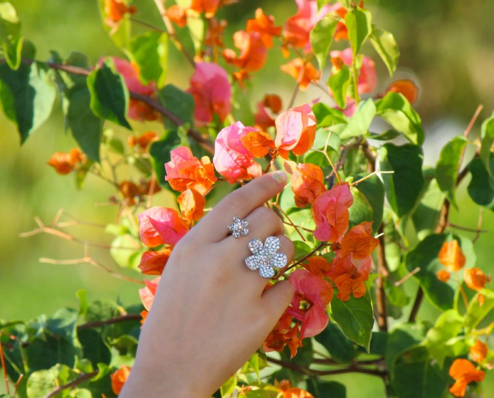 Image hosting by KeepandShare.com