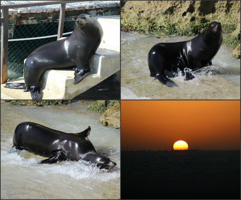 Image hosting by KeepandShare.com