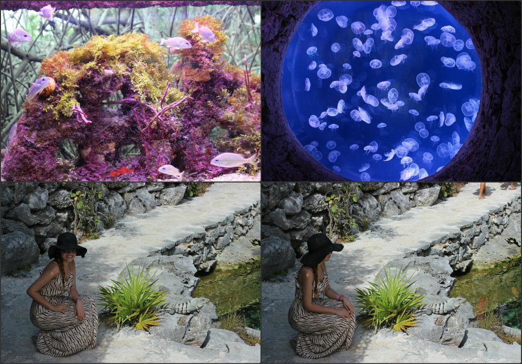 Image hosting by KeepandShare.com