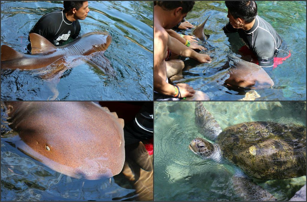 Image hosting by KeepandShare.com