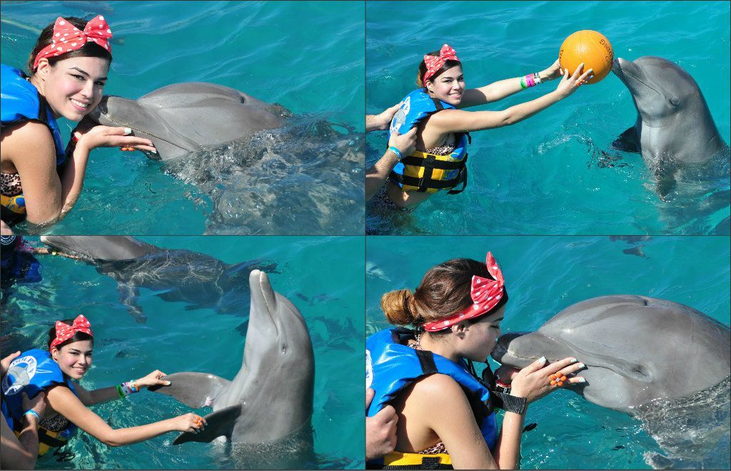 Image hosting by KeepandShare.com