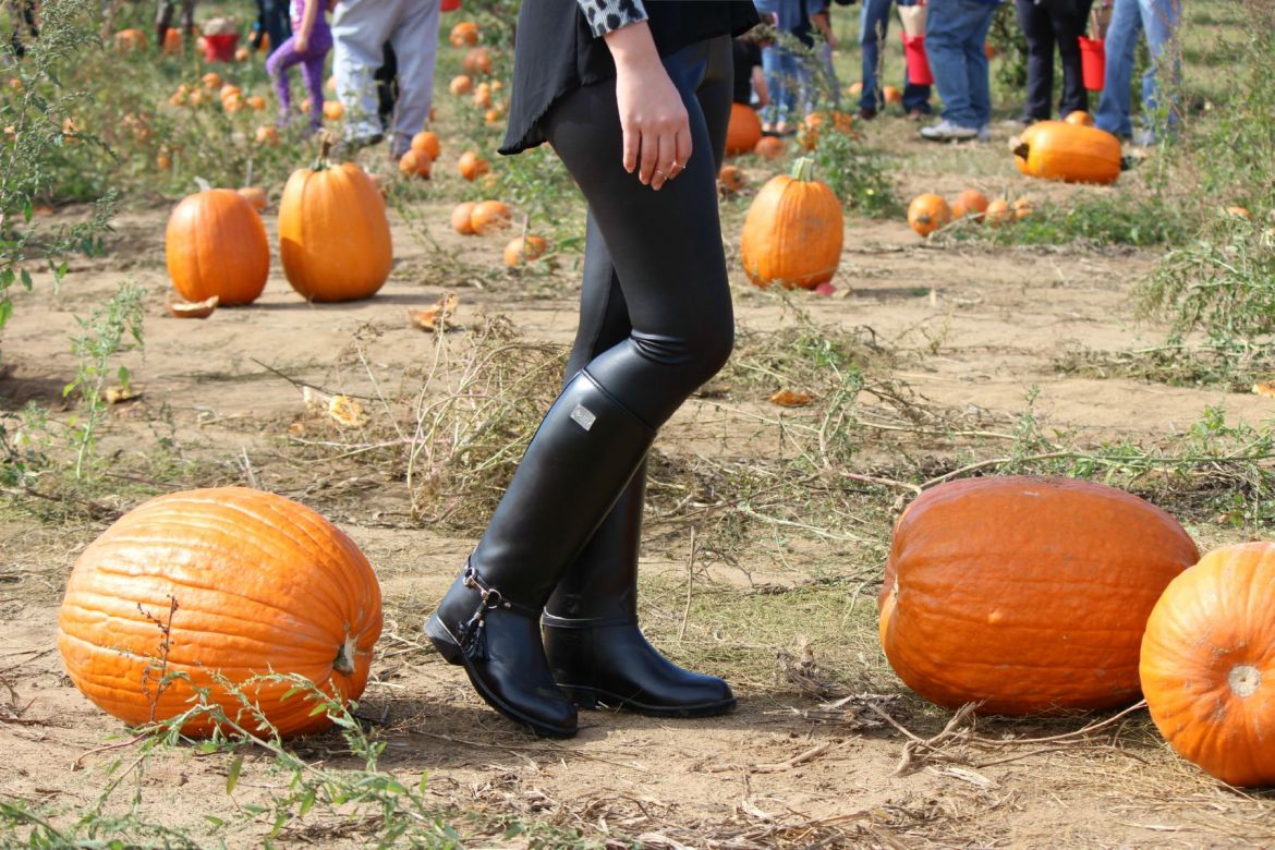 Image hosting by KeepandShare.com