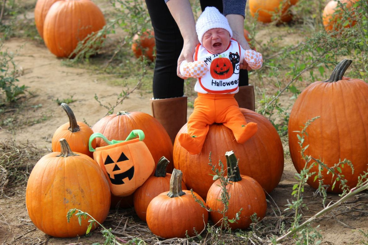 Image hosting by KeepandShare.com