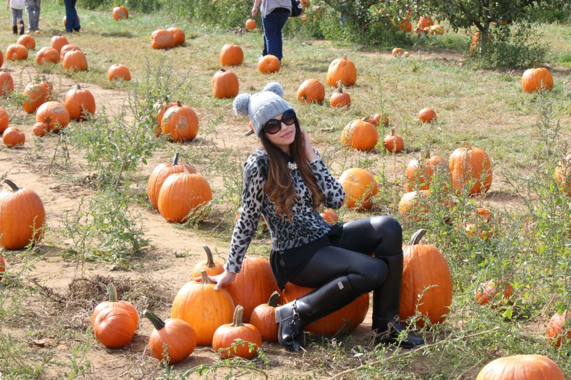 Image hosting by KeepandShare.com