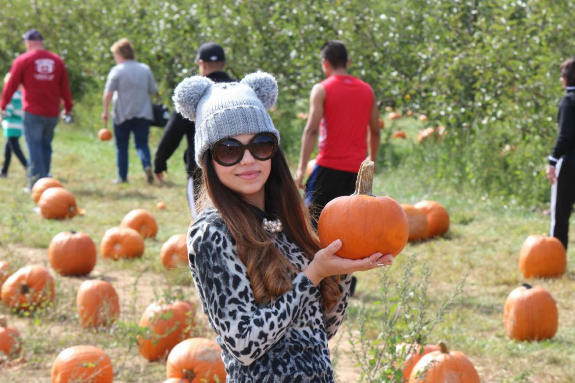 Image hosting by KeepandShare.com