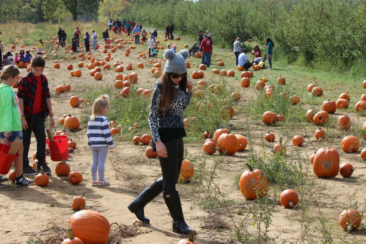 Image hosting by KeepandShare.com