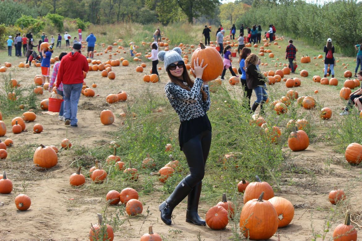 Image hosting by KeepandShare.com