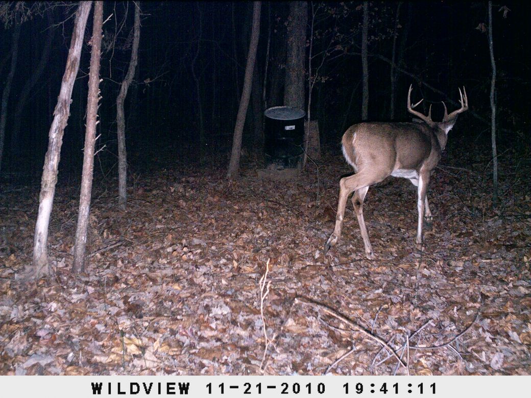 Biggest buck on camera Kentucky Hunting