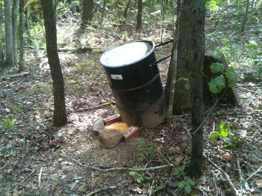 Question About The Corn Pile Kentucky Hunting